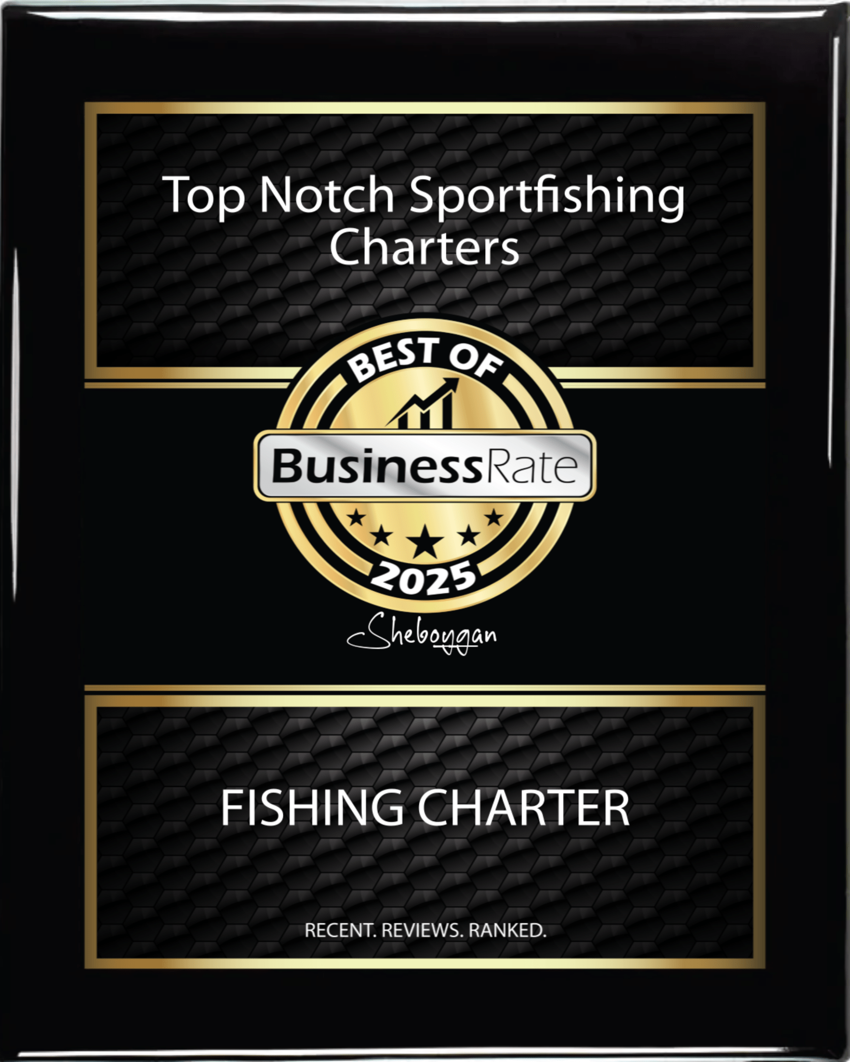 imgi_7_Top+Notch+business+award